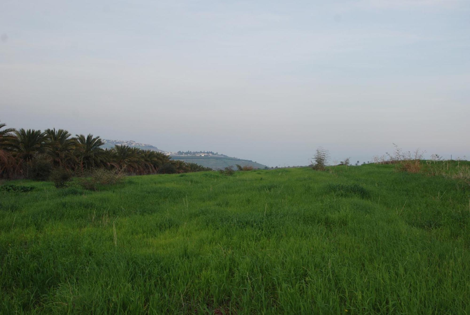 הוילה יבניאל המשאית הצהובה מראה חיצוני תמונה